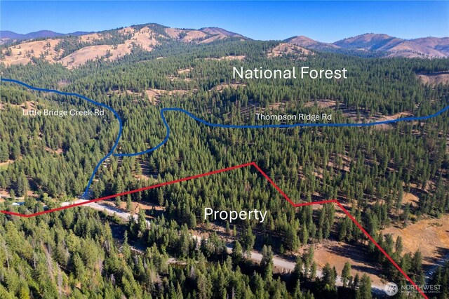 799 Twisp River Rd, Twisp, WA 98856