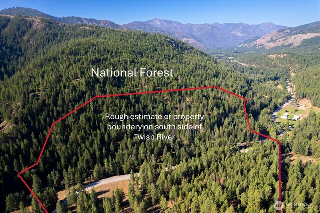 799 Twisp River Rd, Twisp, WA 98856