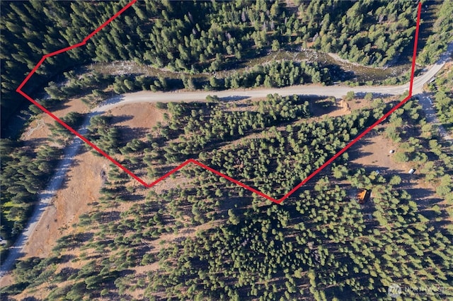 799 Twisp River Rd, Twisp, WA 98856