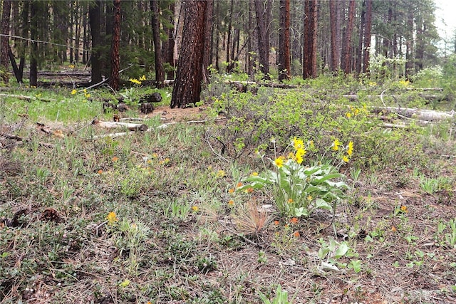 799 Twisp River Rd, Twisp, WA 98856