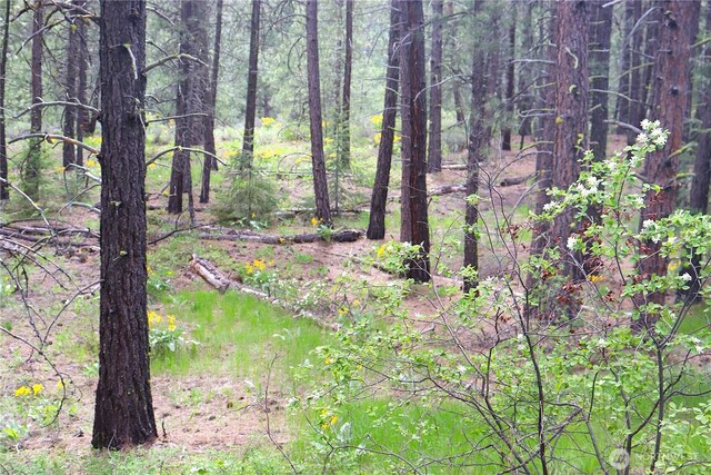 799 Twisp River Rd, Twisp, WA 98856