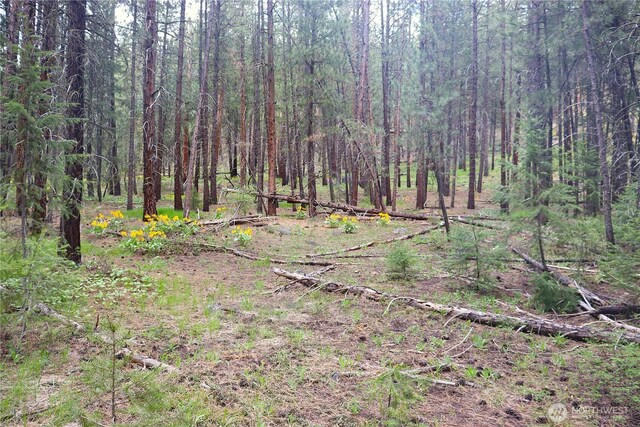 799 Twisp River Rd, Twisp, WA 98856