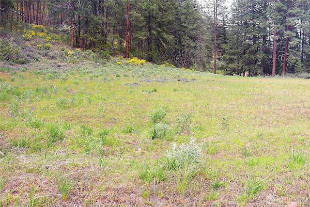 799 Twisp River Rd, Twisp, WA 98856