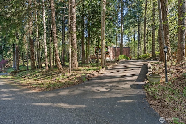 6044 Buckthorn Ct NW, Olympia, WA 98502 - view of home's community featuring driveway