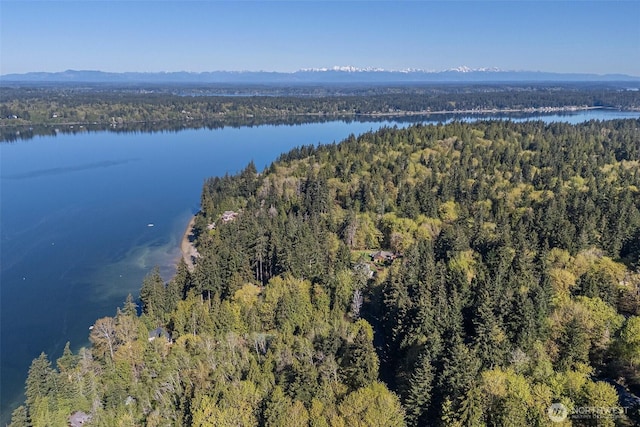 6044 Buckthorn Ct NW, Olympia, WA 98502 - drone / aerial view featuring a view of trees and a water and mountain view