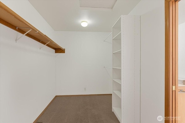 30729 76th Ave NW, Stanwood, WA 98292 - walk in closet with carpet flooring