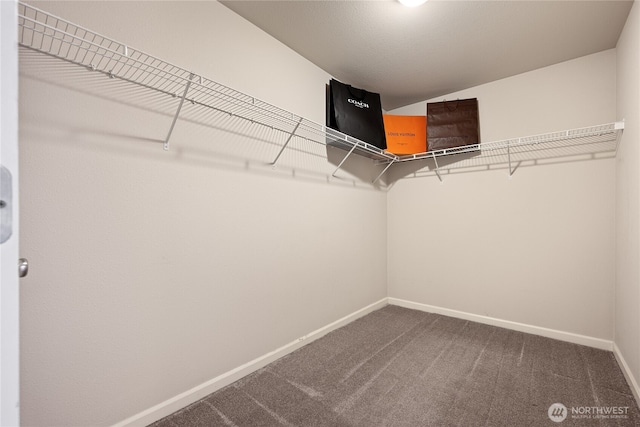 2202 NE 140th St Lot 44, Vancouver, WA 98686 - walk in closet with carpet flooring