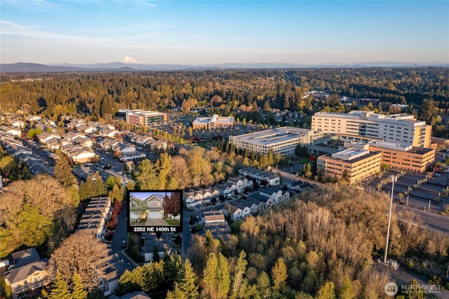 2202 NE 140th St Lot 44, Vancouver, WA 98686 - aerial view with a mountain view and a forest view