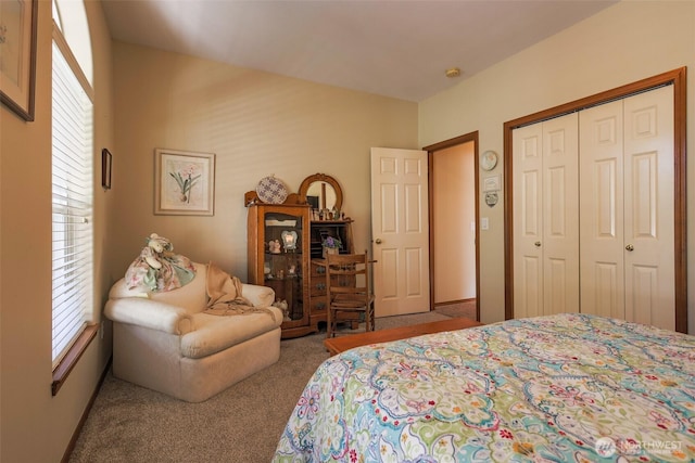 4404 Landmark Dr, Mount Vernon, WA 98274 - bedroom with carpet flooring and a closet