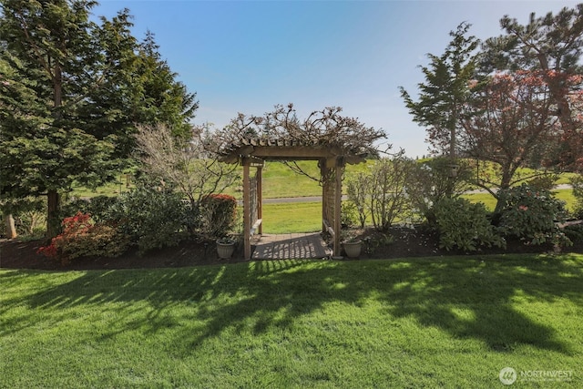 4404 Landmark Dr, Mount Vernon, WA 98274 - view of yard