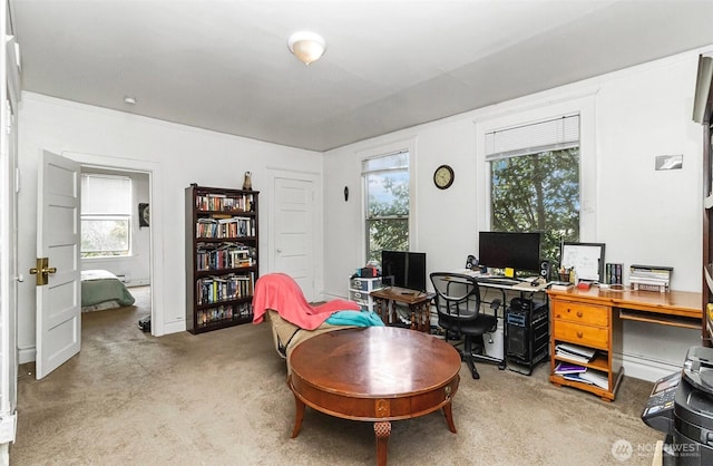 3512 Grand Ave, Everett, WA 98201 - office featuring carpet and plenty of natural light