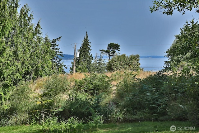 3240 S Mardell Dr, Langley, WA 98236 - photo 2