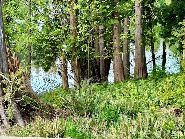 view of landscape featuring a water view