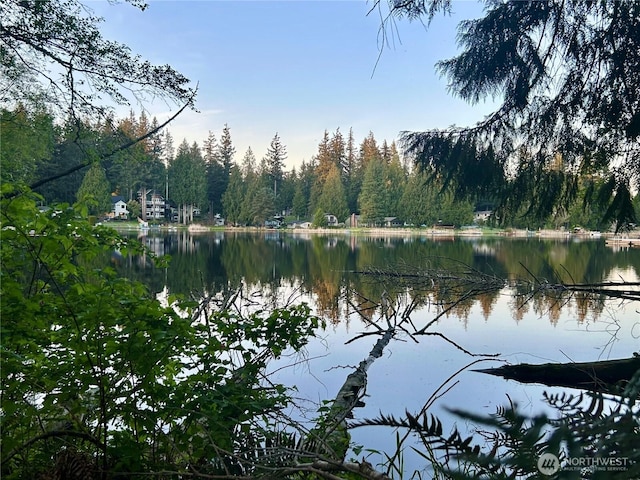 water view featuring a forest view