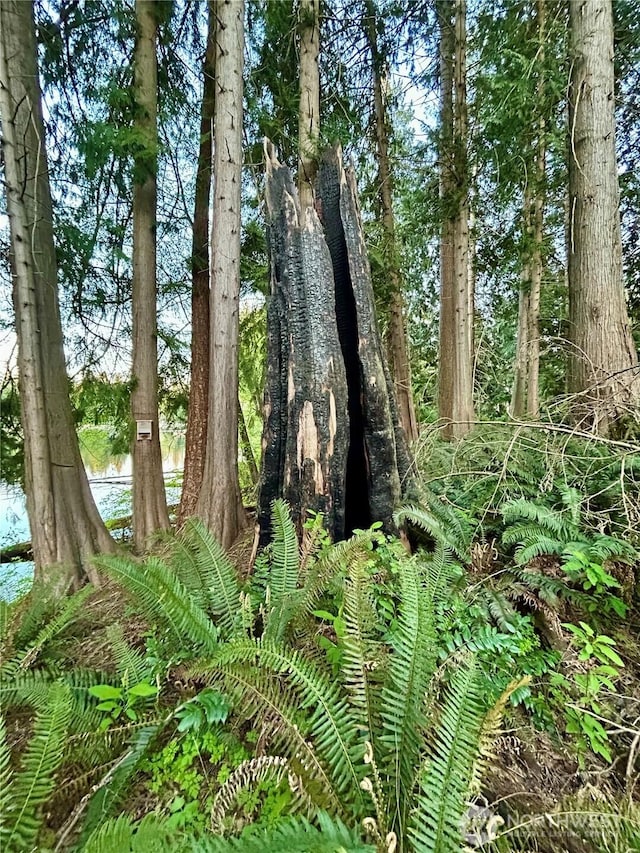 view of nature