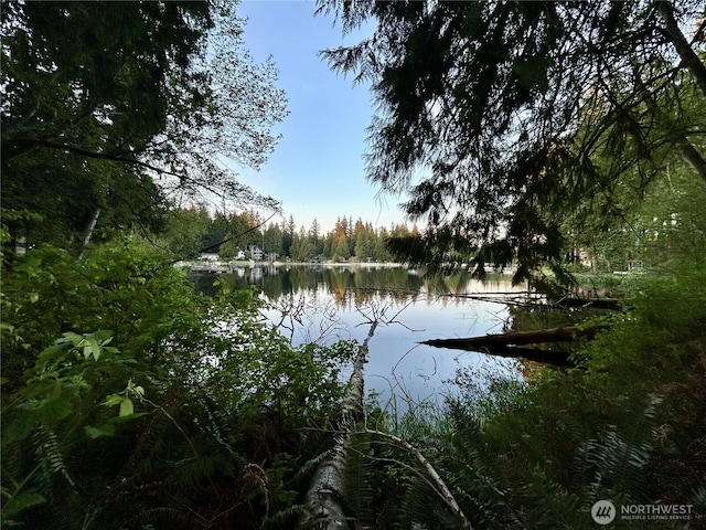 water view with a wooded view