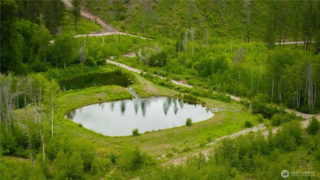 240 Mcfarland Creek Rd, Methow, WA 98834 - bird's eye view featuring a water view