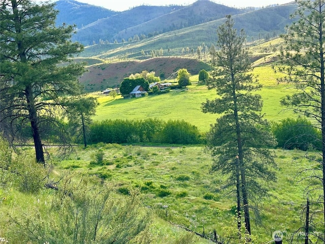 240 Mcfarland Creek Rd, Methow, WA 98834 - property view of mountains with a rural view
