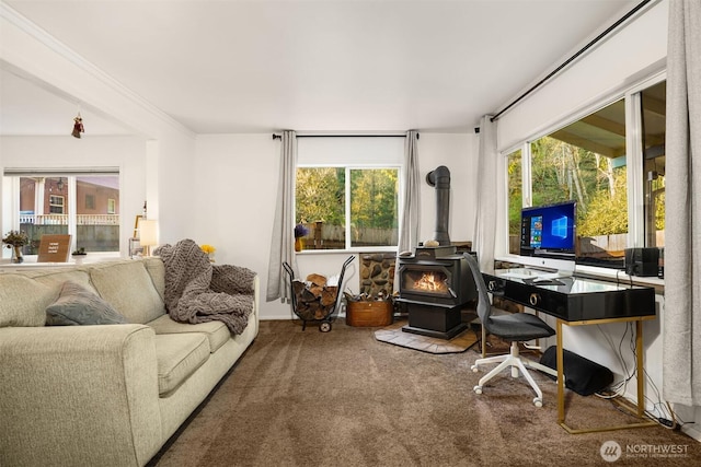 interior space featuring a wood stove