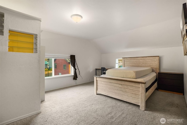 bedroom featuring carpet floors and lofted ceiling