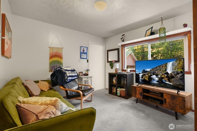 carpeted living room with a textured ceiling
