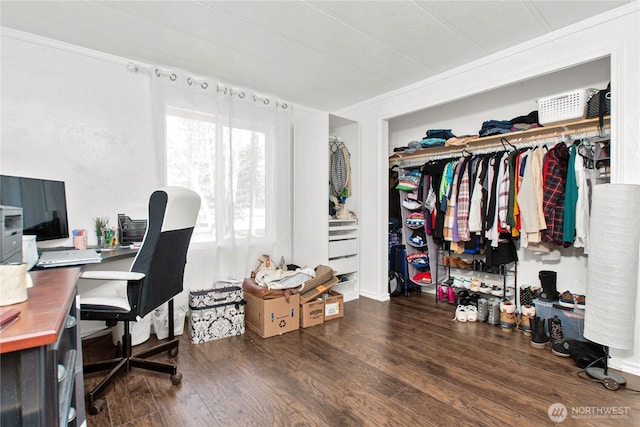 office space featuring wood finished floors