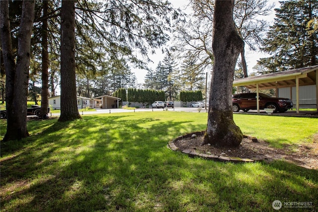 view of yard