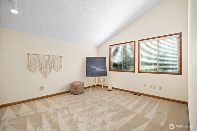 empty room with carpet flooring, lofted ceiling, a textured ceiling, and baseboards