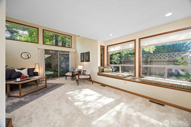 living area featuring carpet flooring, a textured ceiling, and baseboards