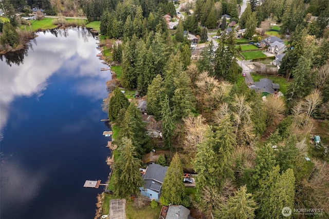 13625 E Lake Kathleen Dr SE, Renton, WA 98059 - photo 3