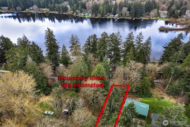 13625 E Lake Kathleen Dr SE, Renton, WA 98059 - photo 5