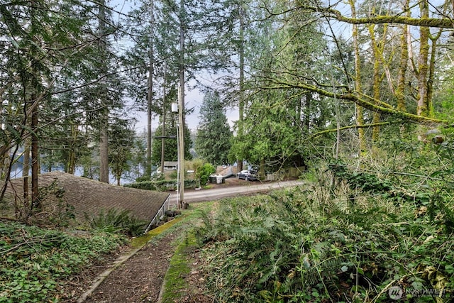13625 E Lake Kathleen Dr SE, Renton, WA 98059 - photo 8