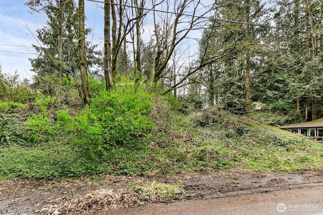 13625 E Lake Kathleen Dr SE, Renton, WA 98059 - photo 9