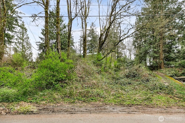 13625 E Lake Kathleen Dr SE, Renton, WA 98059 - photo 10