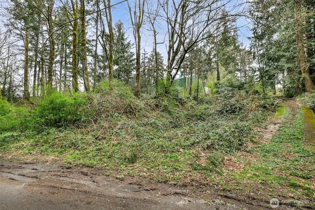 13625 E Lake Kathleen Dr SE, Renton, WA 98059 - photo 11