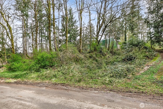 13625 E Lake Kathleen Dr SE, Renton, WA 98059 - photo 12