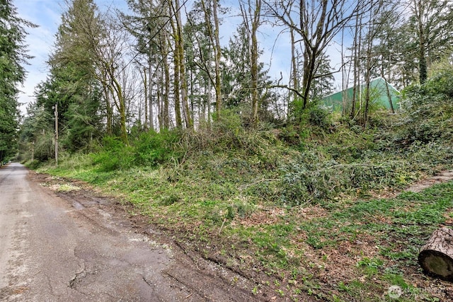 13625 E Lake Kathleen Dr SE, Renton, WA 98059 - photo 13