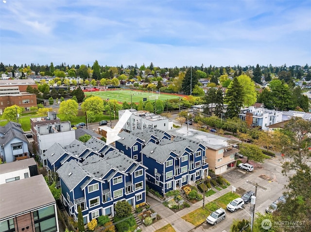 bird's eye view