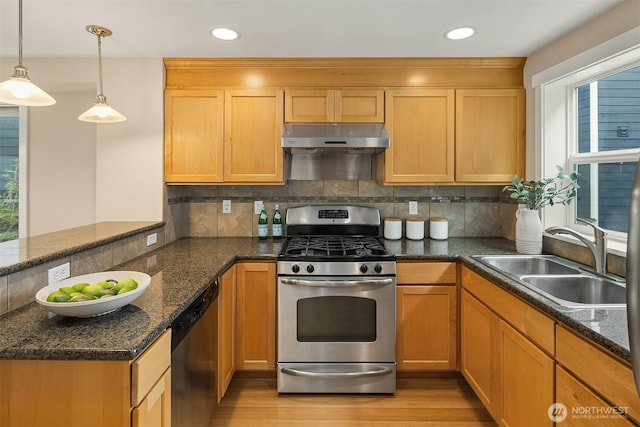 kitchen with a sink, light wood finished floors, a peninsula, under cabinet range hood, and stainless steel appliances