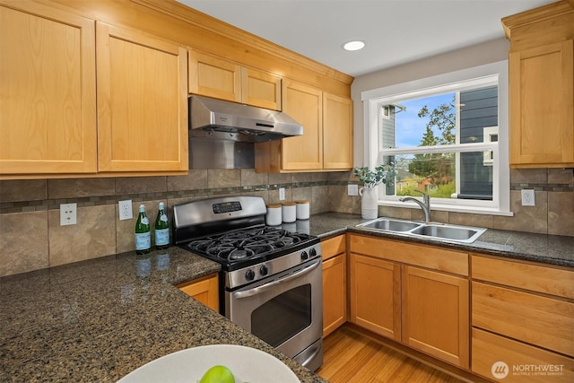 kitchen featuring a sink, decorative backsplash, under cabinet range hood, and gas stove