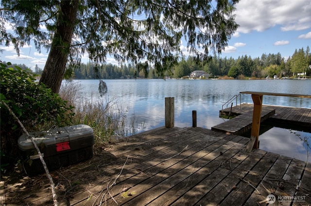 dock area with a water view