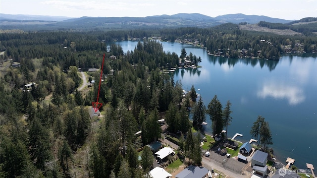 birds eye view of property with a water and mountain view and a view of trees