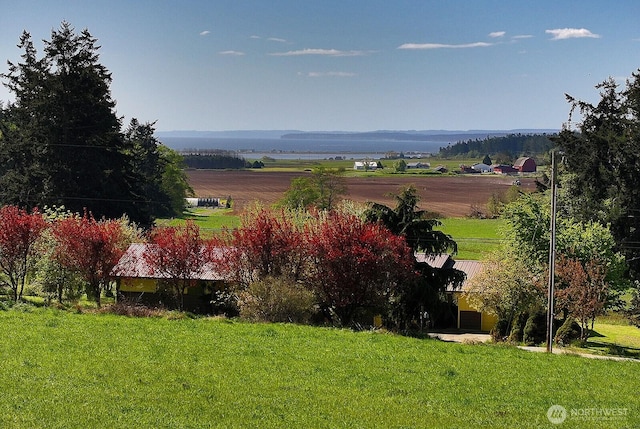 view of yard with a rural view