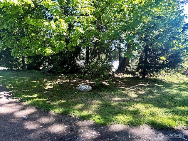 1566 Dallman Rd, Camano Island, WA 98282 - view of green lawn
