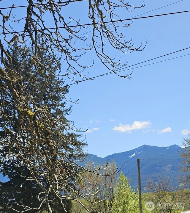 941 Silverbrook Rd, Randle, WA 98377 - view of mountain feature