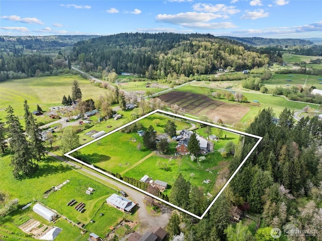 30915 SE Redmond Fall City Rd, Fall City, WA 98024 - bird's eye view with a rural view and a wooded view
