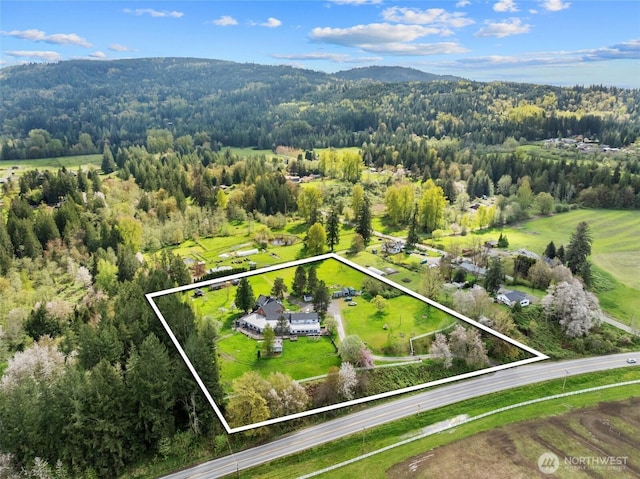 30915 SE Redmond Fall City Rd, Fall City, WA 98024 - aerial view featuring a forest view and a mountain view