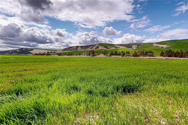 633 Lower Hogeye, Waitsburg, WA 99361 - photo 32