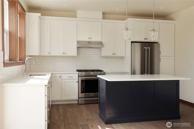 kitchen featuring a sink, tasteful backsplash, dark wood-style flooring, under cabinet range hood, and appliances with stainless steel finishes