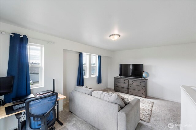 carpeted living room with baseboards and a wealth of natural light